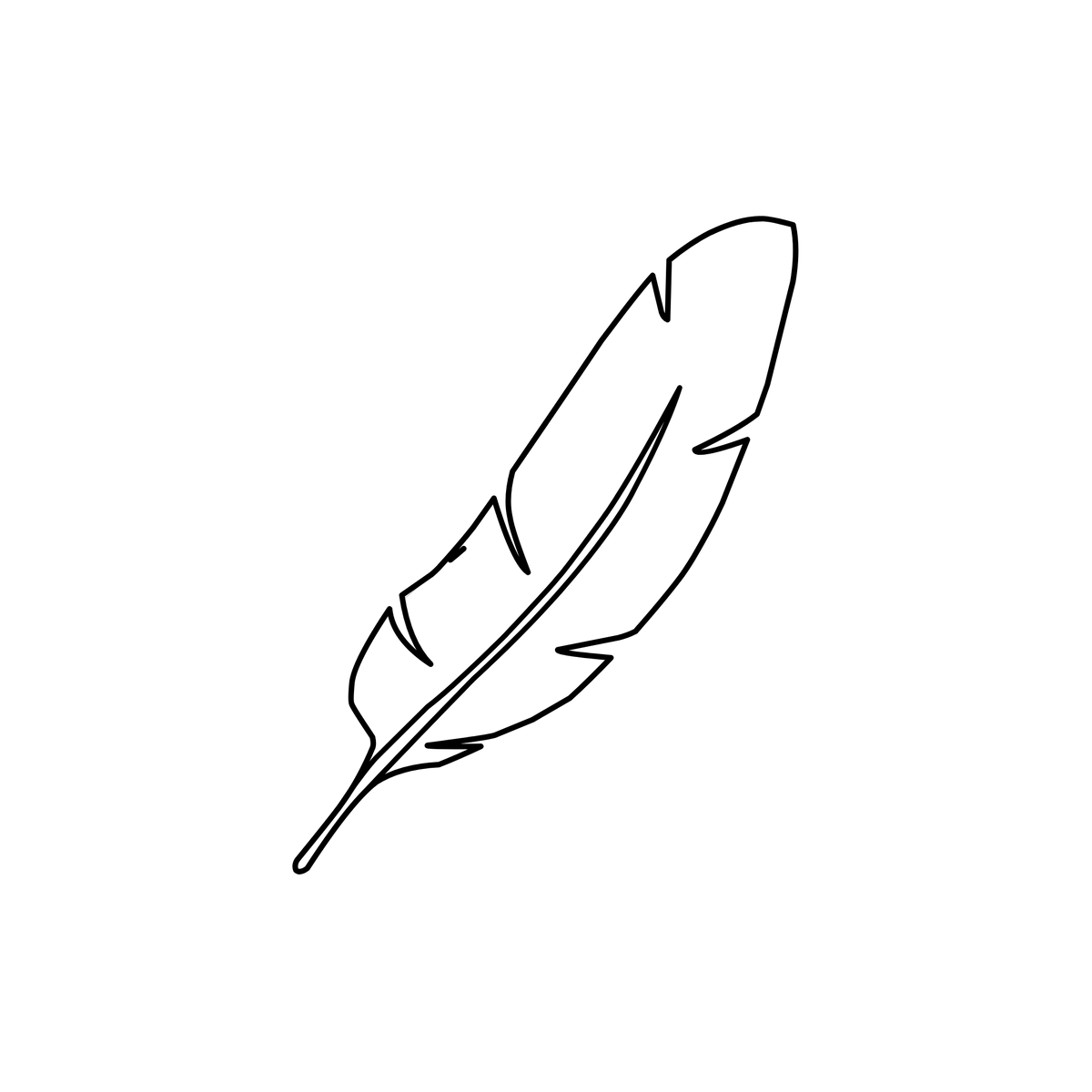 Black line drawing of a feather on a white background